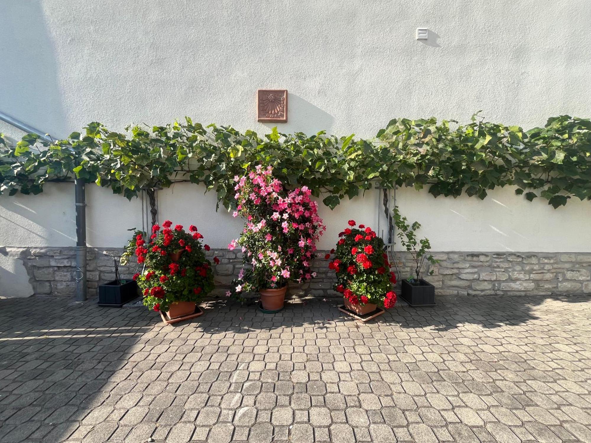 Zimmervermietung Barth Bernburg Exteriér fotografie